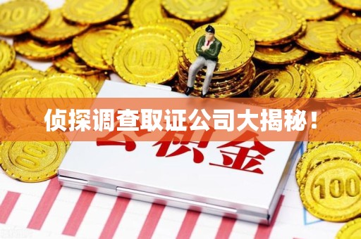 永安侦探调查取证公司大揭秘！