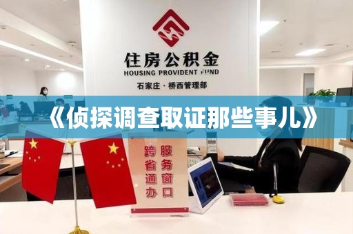 永安《侦探调查取证那些事儿》