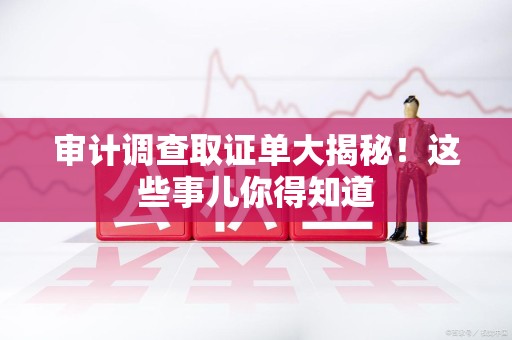 永安审计调查取证单大揭秘！这些事儿你得知道