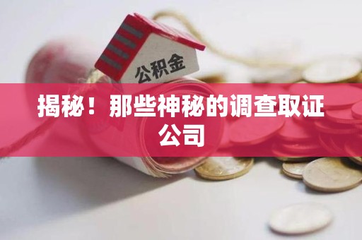 永安揭秘！那些神秘的调查取证公司