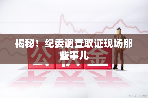 永安揭秘！纪委调查取证现场那些事儿