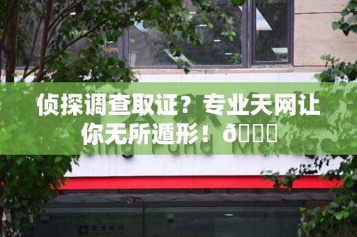 永安侦探调查取证？专业天网让你无所遁形！😎