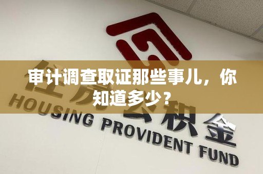 永安审计调查取证那些事儿，你知道多少？