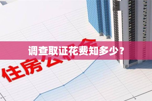 永安调查取证花费知多少？