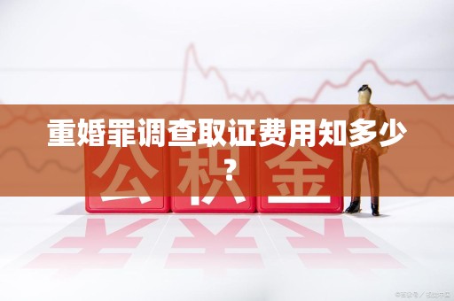 永安重婚罪调查取证费用知多少？