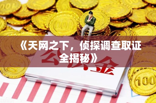 永安《天网之下，侦探调查取证全揭秘》