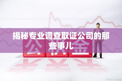 永安揭秘专业调查取证公司的那些事儿