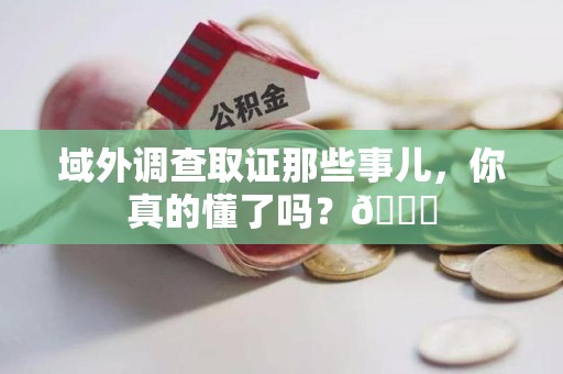 永安域外调查取证那些事儿，你真的懂了吗？😎