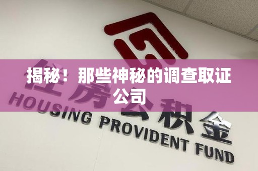 永安揭秘！那些神秘的调查取证公司