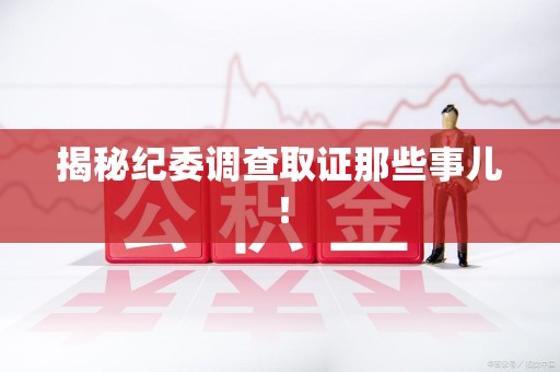 永安揭秘纪委调查取证那些事儿！
