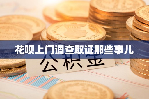 永安花呗上门调查取证那些事儿